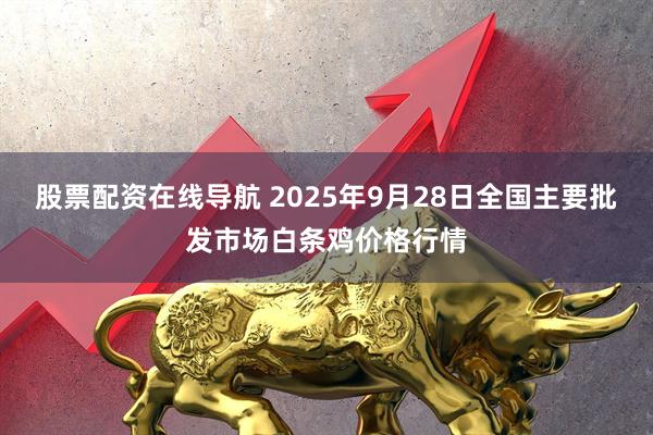 股票配资在线导航 2025年9月28日全国主要批发市场白条鸡价格行情
