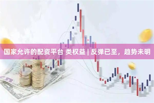 国家允许的配资平台 类权益 | 反弹已至，趋势未明